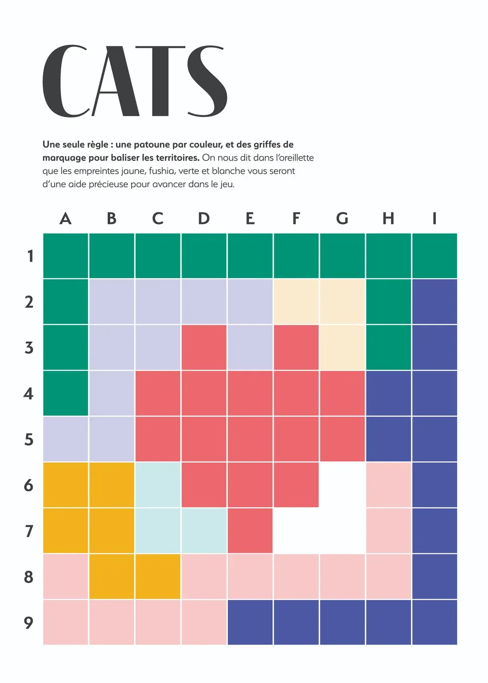 Print artwork for the first riddle: a nine by nine colour-region grid with its single rule set above it
