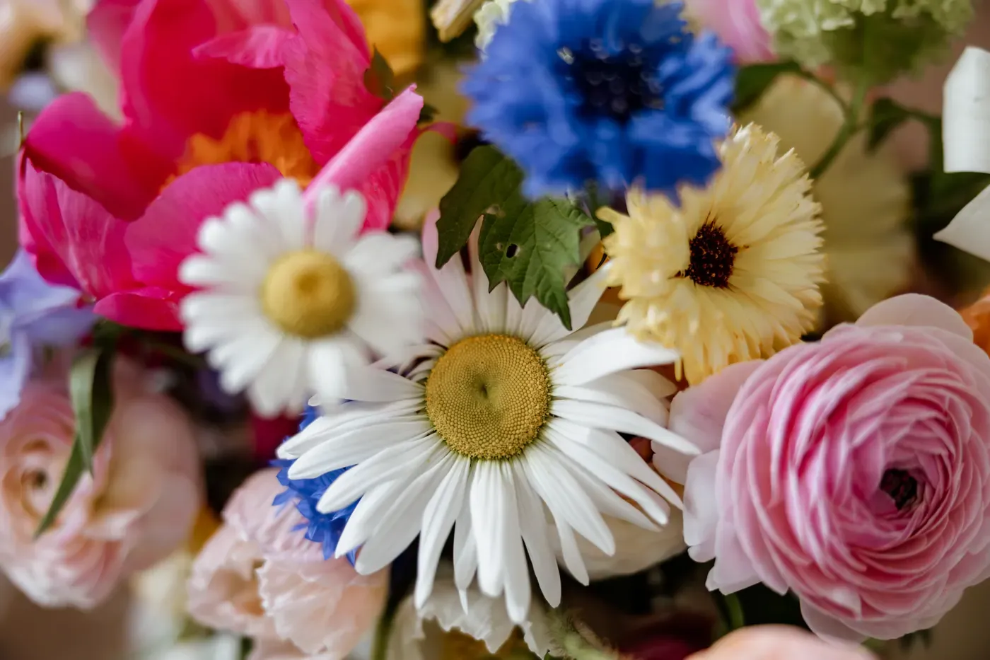 Close view of the flower palette: white daisies, blue cornflowers and pink blooms